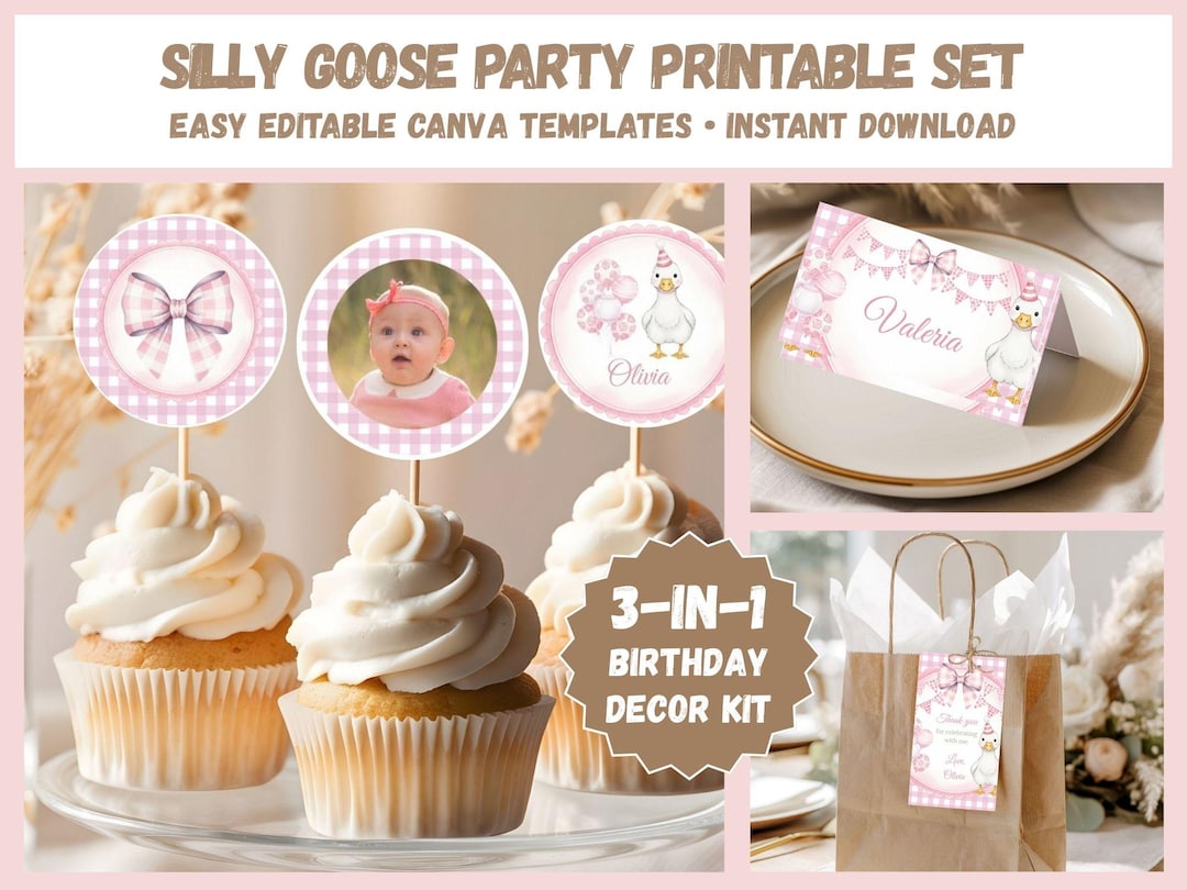 One Silly Goose Party Printable Set, Pink Gingham 1st Birthday Bundle ...