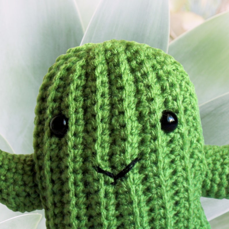 Cuddly Crochet Cactus Doll, Amigurumi Succulent Plant, All Occasion Gift for Kids and Adults, Southwest Themed Nursery, Saguaro Plushie image 6