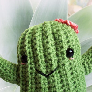 Cuddly Crochet Cactus Doll, Amigurumi Succulent Plant, All Occasion Gift for Kids and Adults, Southwest Themed Nursery, Saguaro Plushie image 5