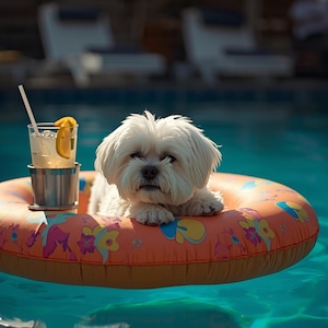 Impression d'art d'été de flotteur de piscine pour chien maltais blanc (JPEG, PNG)
