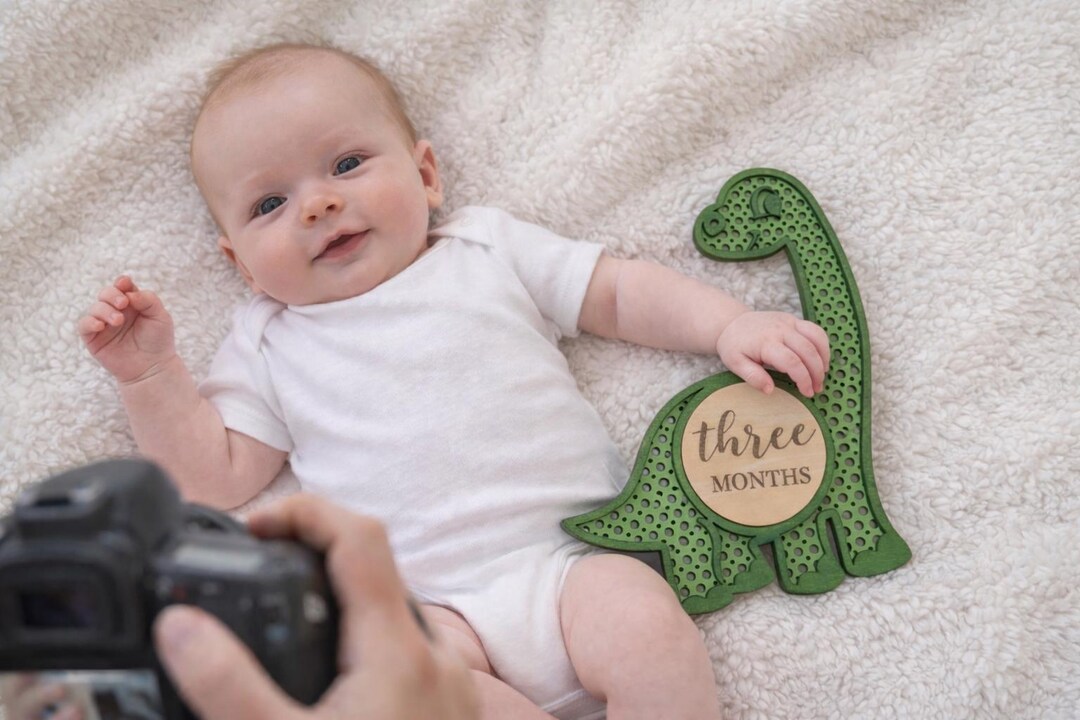 Baby Monthly Milestone Dinosaur, Photo Prop - Etsy