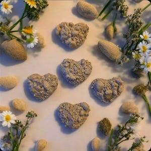 May include: An overhead shot features six heart-shaped objects with a textured, earthy appearance, arranged among small, oblong stones and sprigs of white and yellow daisies. The hearts are a muted brown color, contrasting with the lighter background.