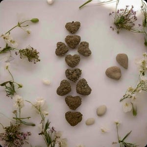 May include: An overhead shot features a collection of heart-shaped stones arranged in a vertical line. The stones are a muted brown color. White flowers and small pebbles are scattered around the stones, creating a natural, earthy aesthetic.