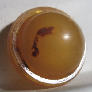 May include: A round, clear, amber-colored button with a brown, irregular shape inside.