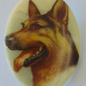 VINTAGE BEAUTIFUL German Shepard Picture Oval Porcelain Glass Button....#4110