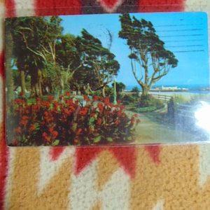 VINTAGE EXCELLENT 1961 Palisades Park Overlooking Blue Pacific Postcard...Used...#559.. Paper Ephemera,Collecting Postcard,Scrapbook