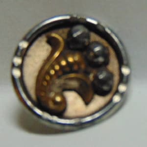 Antique NICE Victorian Brass & Cut Steel Horn of Plenty Inspired Escutcheon Button.... #4341