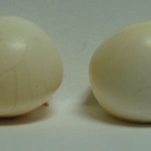 May include: Two white pearl-like eggs with a smooth, slightly shiny surface. One egg has faint lines on its surface.