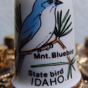 VINTAGE Beautiful 70&#39;S/80&#39;s Birch Croft Bone China Idaho State Bird Thimble...#38..Souvenir Thimble,Thimble Collectors,Vintage Thimbles
