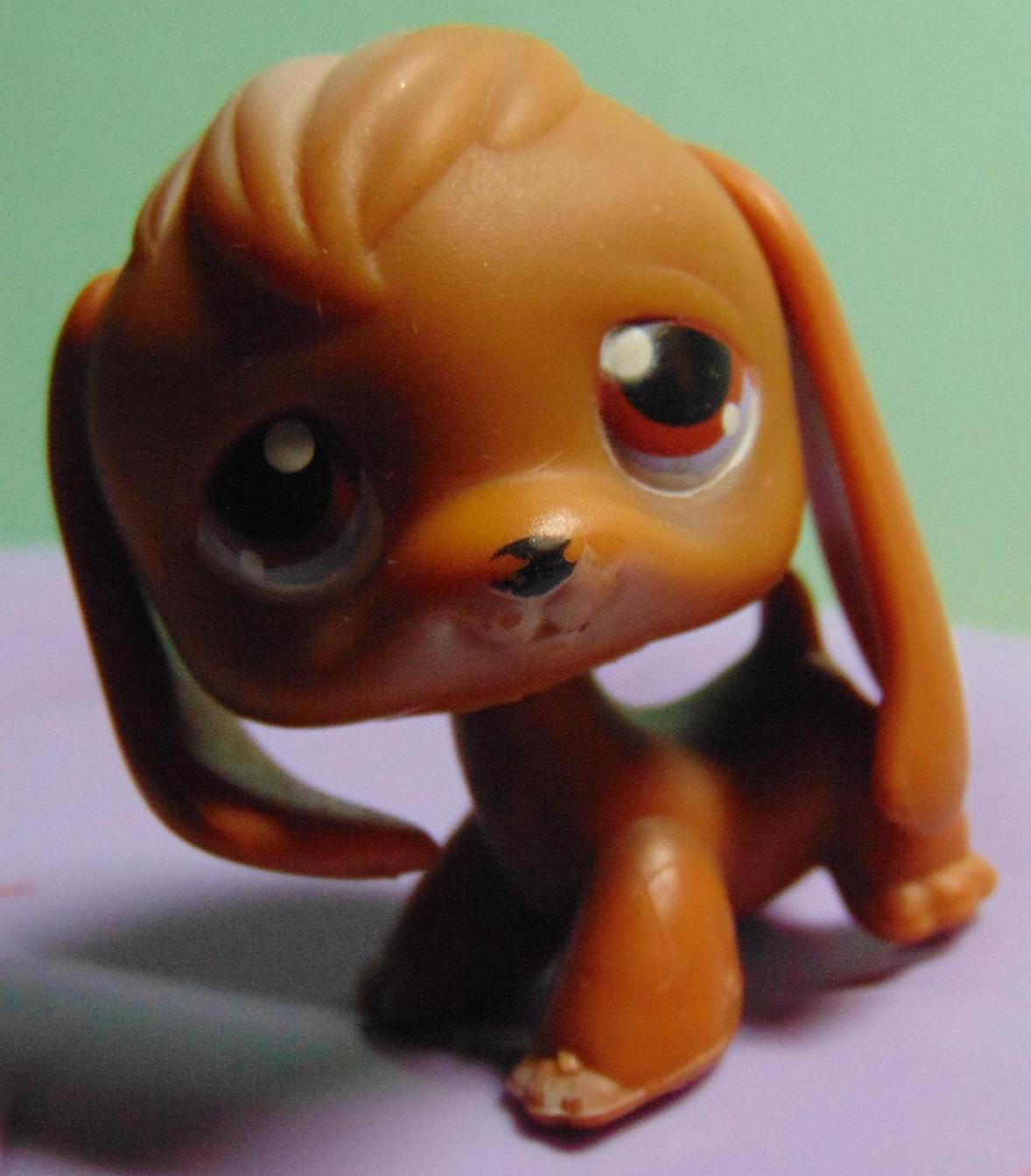 Authentic Duo Littlest Pet Shop # 2413 Basset Hound & # 2414