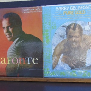 May include: Two vinyl record albums featuring Harry Belafonte. The left cover is titled Jump Up Calypso with a portrait of the artist on a red background. The right cover is titled Pure Gold with a photograph of the artist in water.