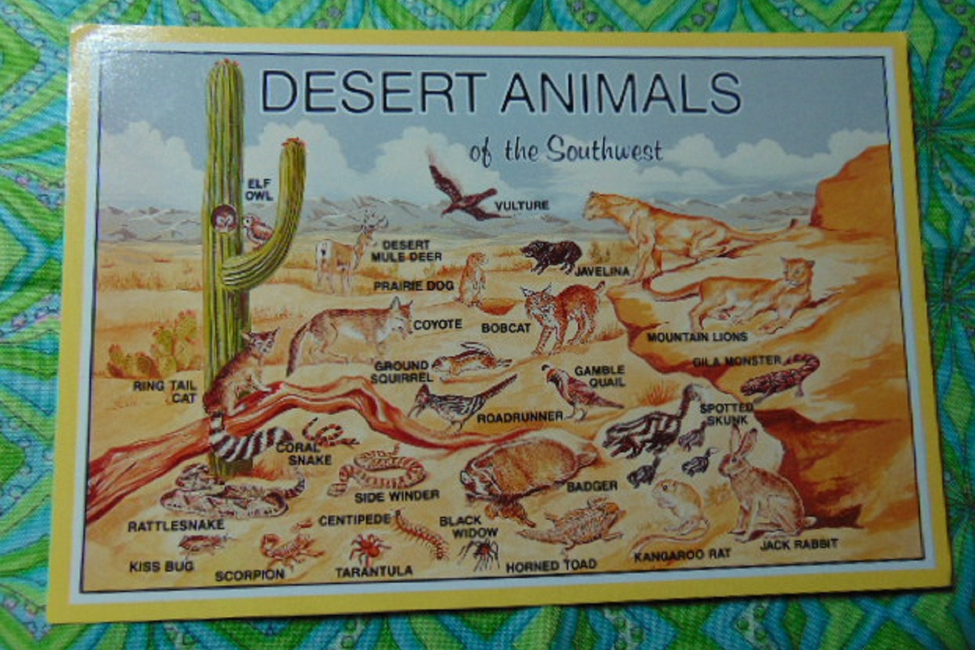 VINTAGE EXCELLENT 60's Desert Animals of the Southwest - Etsy VINTAGE EXCELLENT 60's Desert Animals of the Southwest - Etsy