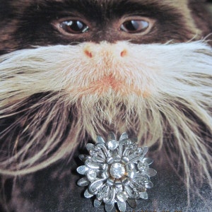 May include: A silver-toned brooch with a floral design and a clear rhinestone center. The brooch is set against a background of a monkey's face.