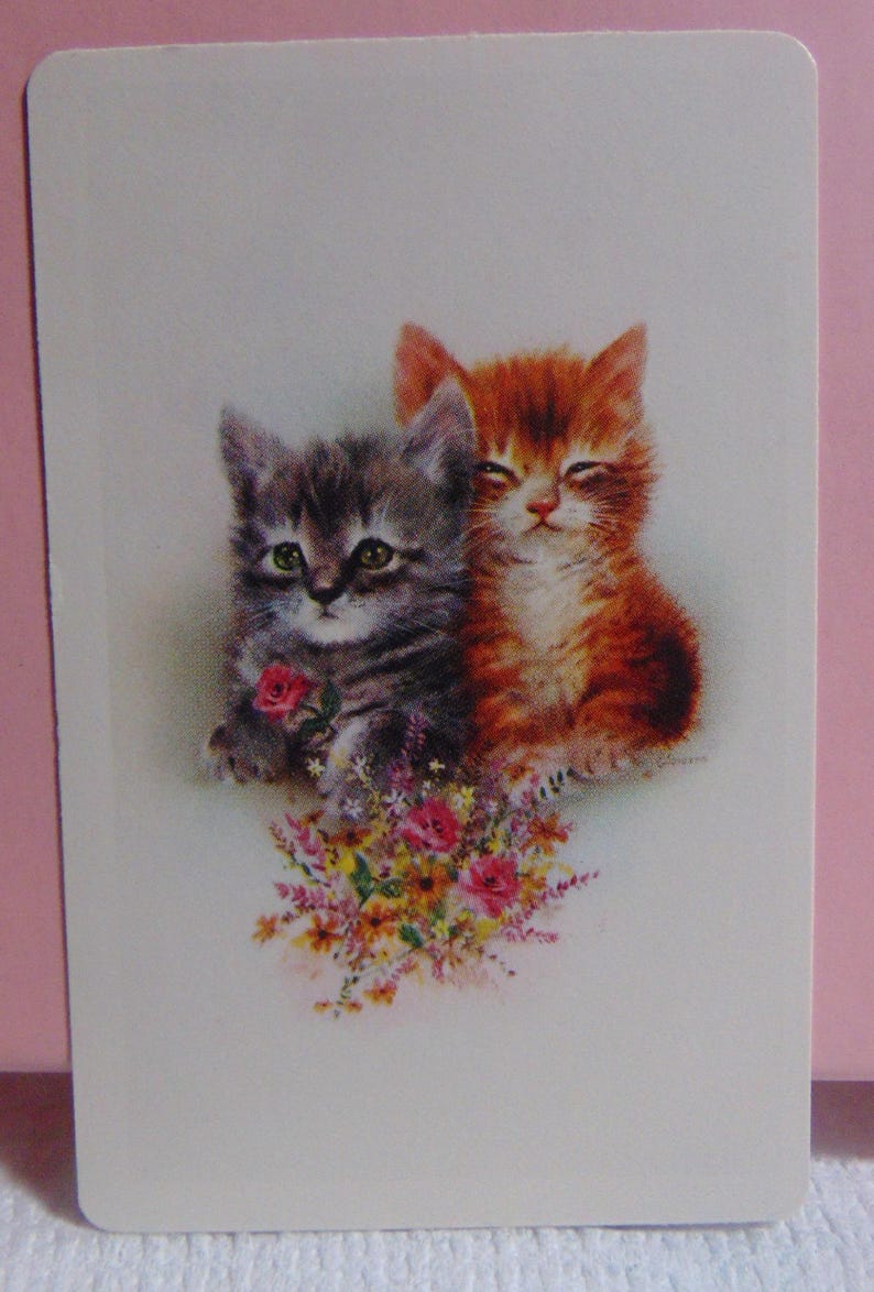May include: Two kittens, one grey and one orange, are sitting together. The grey kitten is holding a single pink rose. Both kittens are surrounded by a bouquet of colourful flowers.
