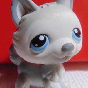 Littlest Pet Shop Husky #2439 - Hasbro - Figurine Occasion