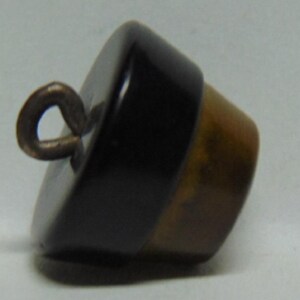May include: A black and brown button with a metal loop. The button has a smooth, shiny finish.
