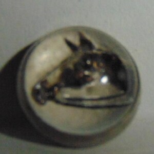 May include: A clear glass marble with a black and white image of a horse's head inside.