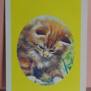 May include: A close-up of a brown and white kitten with green eyes looking down. The kitten is in a circular frame on a yellow background.