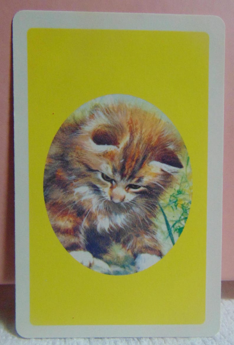 May include: A close-up of a brown and white kitten with green eyes looking down. The kitten is in a circular frame on a yellow background.