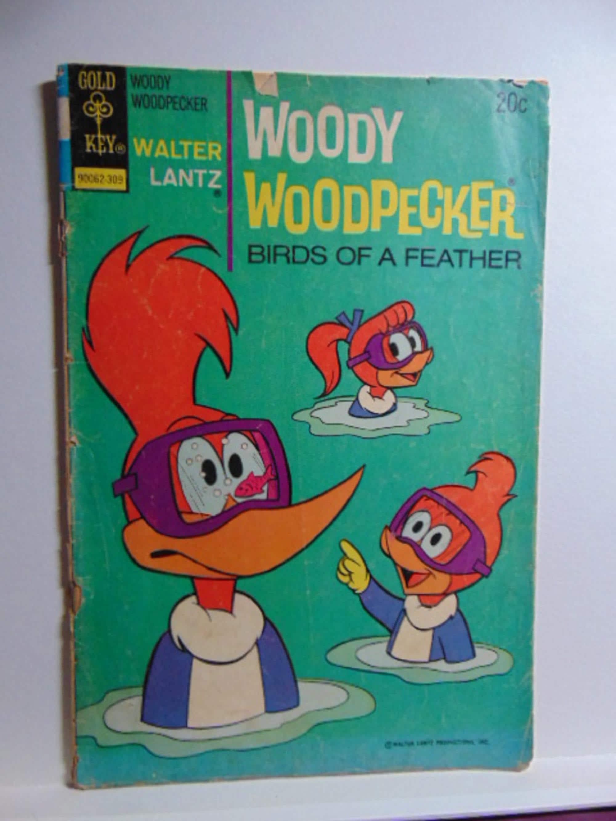 Vintage AWESOME 1973 Sept #131 Goldkey Walter Lantz Woody
