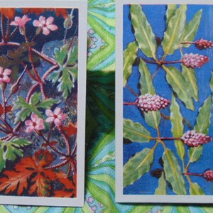 May include: Two vintage botanical illustrations on cards. The first card features a pink flower with green leaves on a brown background. The second card features a pink flower with green leaves on a blue background.
