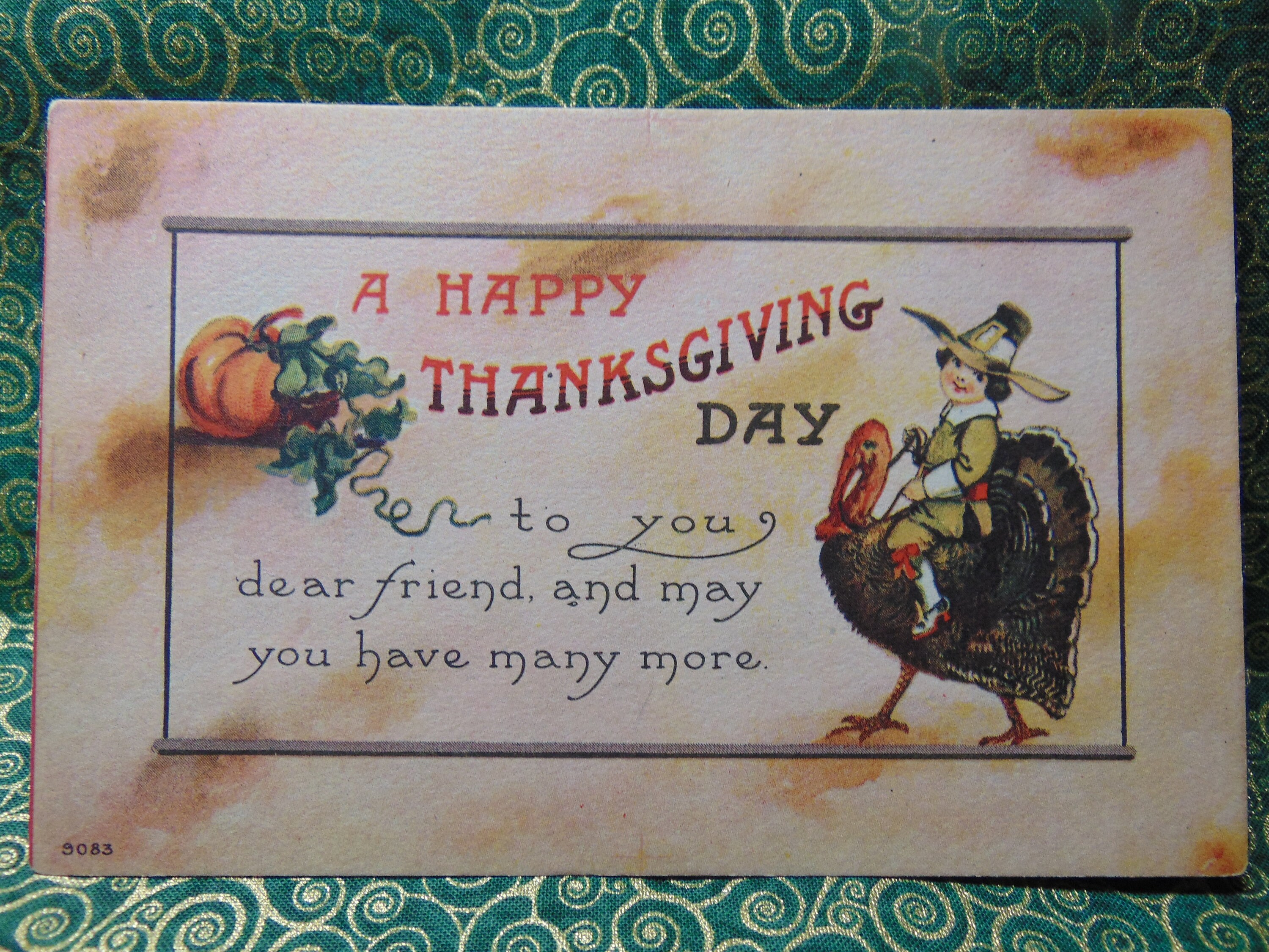 ANTIQUE BEAUTIFUL 1914 Thanksgiving Day Pilgrim Boy Riding a Turkey ...