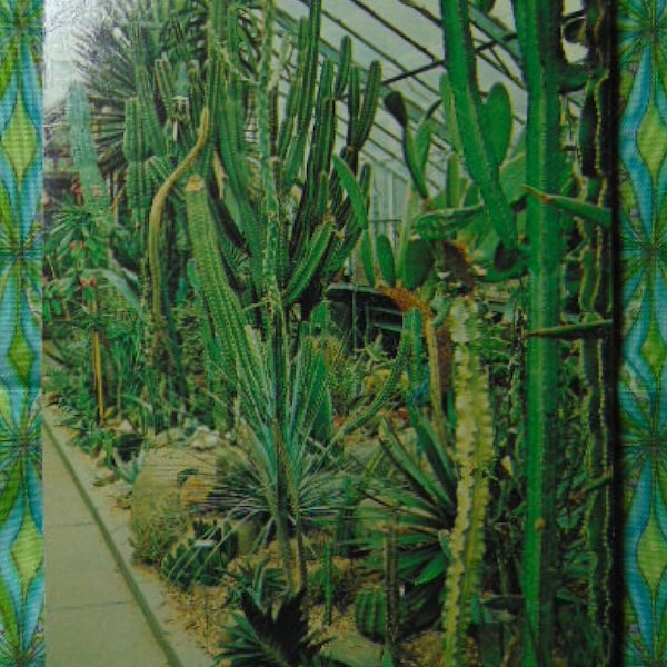 Vintage 80's Beautiful Brooklyn Botanic Garden-Desert Home Post Card-unused-1580..Historical Postcards,Travel Postcards