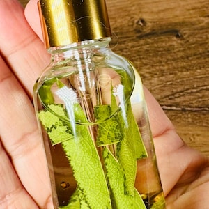 May include: A clear glass dropper bottle filled with a light yellow liquid and several green leaves submerged inside. The bottle features a gold-colored metal collar and a white rubber dropper top, providing a functional design for dispensing the liquid contents.