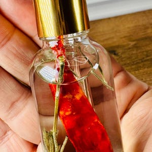 May include: A clear glass dropper bottle with a gold-colored collar and a white rubber bulb. Inside the bottle, a single dried red chili pepper and a small sprig of dried green herb are submerged in a clear liquid, visible through the transparent glass.
