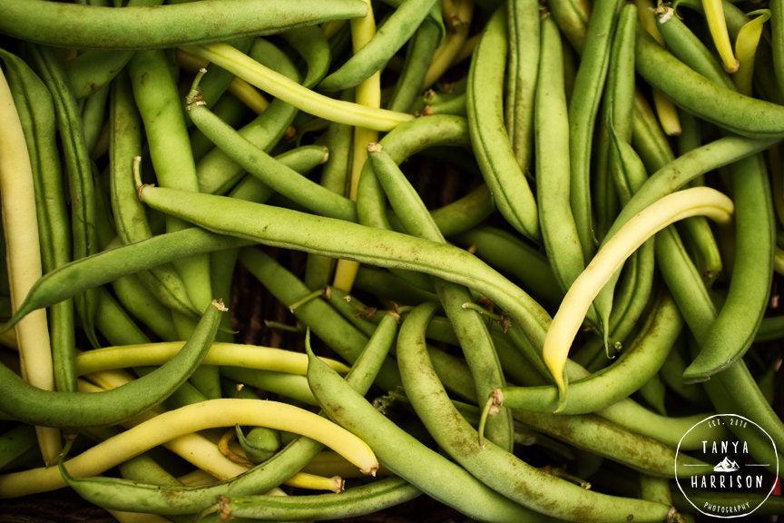 Food Photography Kitchen Decor String Beans Green Kitchen | Etsy