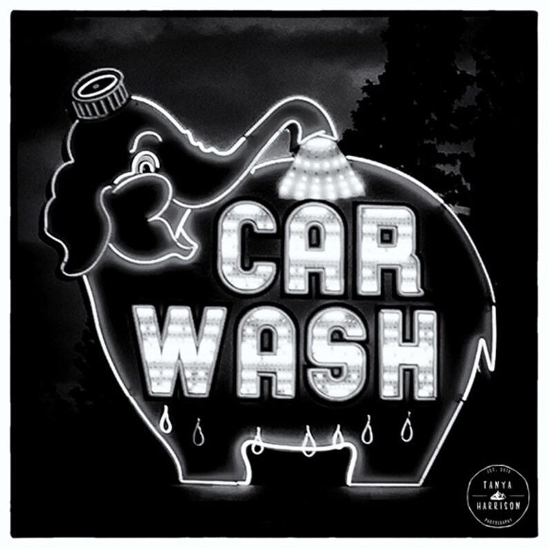 Seattle Art Elephant Car Wash Black and White Photograph Unique Art, Weird Art Large Art Prints Available image 2