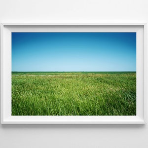 Country Decor Green Grass Landscape Print Green Home Decor, Nature Decor, Canada Saskatchewan Prairies Available Framed, Ready to Hang image 1