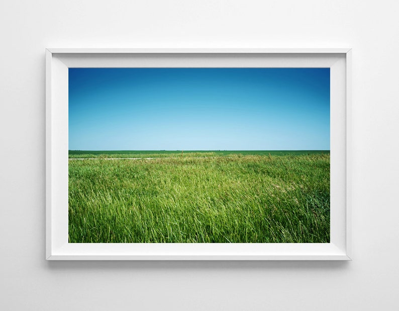 Country Decor Green Grass Landscape Print Green Home Decor, Nature Decor, Canada Saskatchewan Prairies Available Framed, Ready to Hang image 1