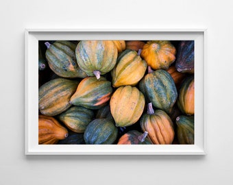 Yellow Kitchen Decor - Autumn Decor, Fall Art, Acorn Squash Food Photography - Farmers Market Green Kitchen Art - Large Art Prints Available