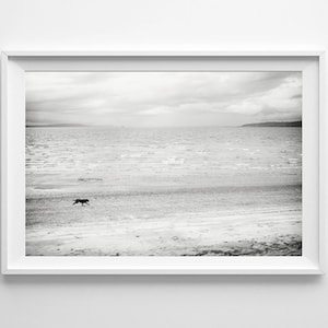 Dog Art Black and White Beach Print Minimalist Beach Home Decor Impresiones de arte de pared pequeñas y grandes disponibles imagen 1