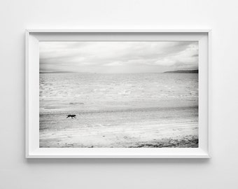 Dog Art Black and White Beach Print - Minimalist Beach Home Decor- Small and Large Wall Art Prints Available