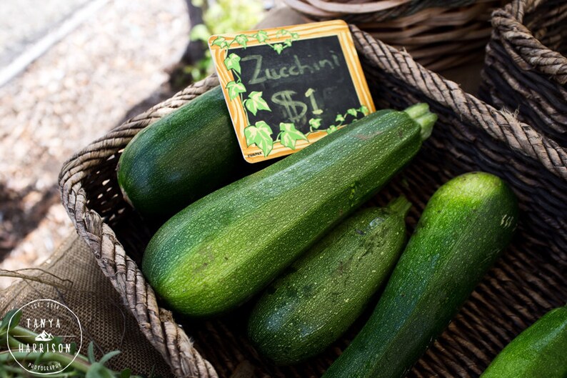 Green Kitchen Decor Zucchini Food Photography, Farmers Market Art, Food Art, Vegetable Art Small and Large Art Prints Available image 2