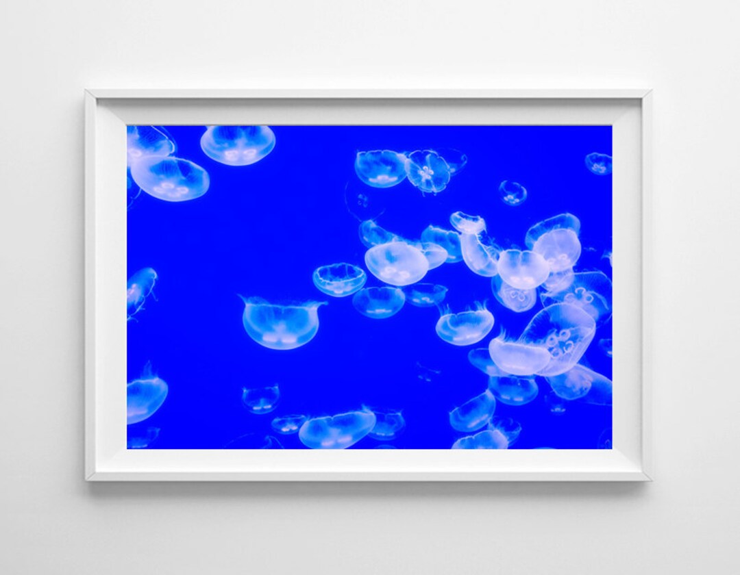 Jellyfish Print Blue Wall Art, Blue Nursery Decor, Vibrant Ocean Decor ...