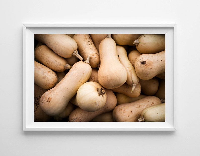 Brown Kitchen Decor Food Photography Butternut Squash Farmers Market Food Art, Brown Kitchen Art Small and Oversize Art Prints Available image 1