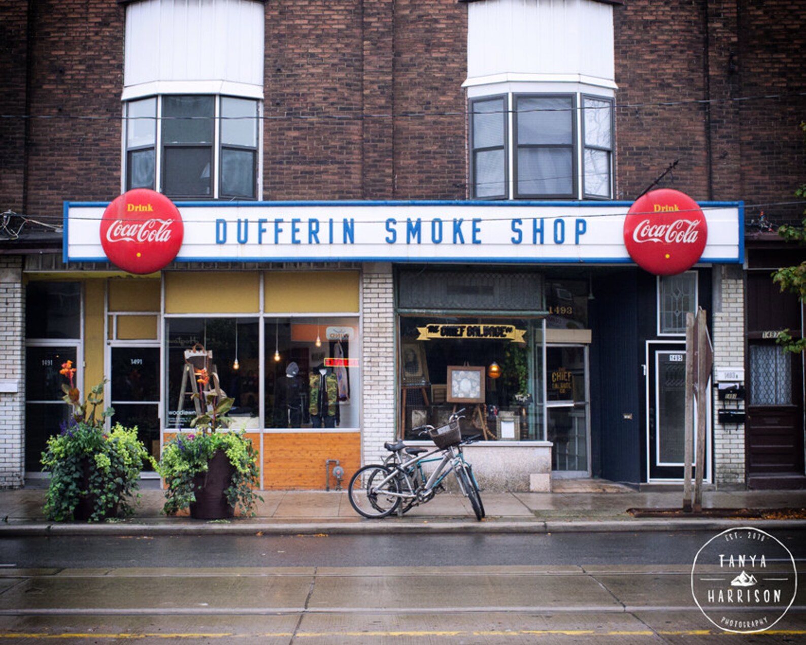 Toronto Photography Dundas West Dufferin Smoke Shop Bicycle Art, Canadian Bike Art Small and