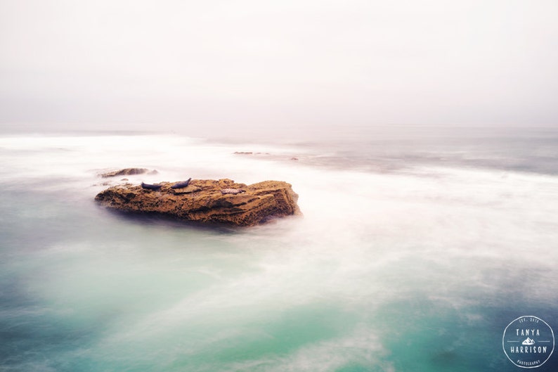 San Diego California Ocean Decor La Jolla Pacific Ocean Seals Minimalist Art, Beach Home Decor Small and Large Art Prints Available image 2