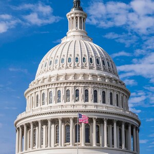 Capitol Building Washington DC Vertical Wall Art with American Flag Patriotic Art, American Wall Art FREE SHIPPING image 2