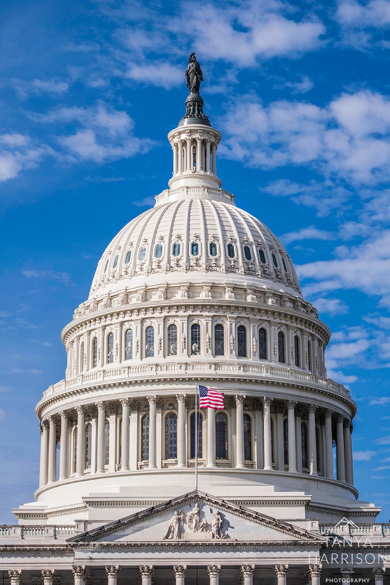 Capitol Building Washington DC Vertical Wall Art with American Flag Patriotic Art, American Wall Art FREE SHIPPING image 2