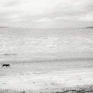 Dog Art Black and White Beach Print Minimalist Beach Home Decor Small and Large Wall Art Prints Available image 2
