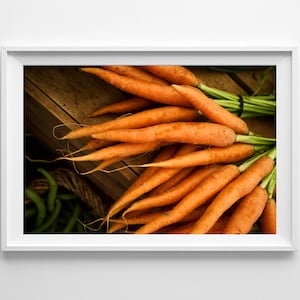 Carrots Orange Kitchen Art Farmers Market Food Photography, Vegetable Print, Food Art Small and Large Wall Art Prints Available image 1