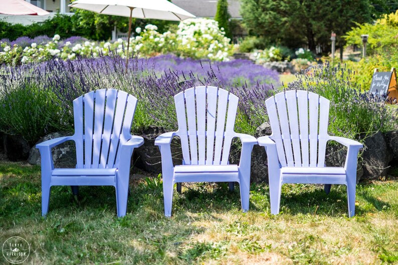 Lavender Art Vashon Island Purple Adirondack Chairs at Lavender Farm