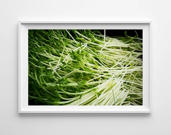 Green Kitchen Art - Food Photography Pea Sprouts Farmers Market Kitchen Decor - Green Food Art - Small and Large Wall Art Prints Available