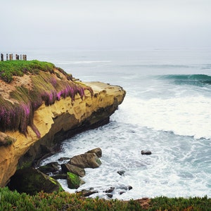 La Jolla Beach Decor San Diego California Beach Cliffs and Purple Flowers Pacific Ocean Fine Art Print Multiple Sizes Available image 2