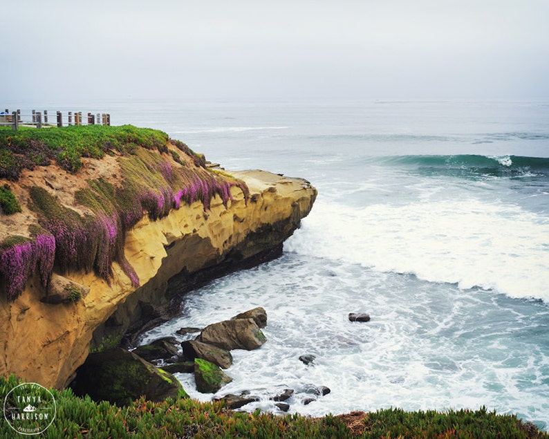 La Jolla Beach Decor San Diego California Beach Cliffs and Purple Flowers Pacific Ocean Fine Art Print Multiple Sizes Available image 2