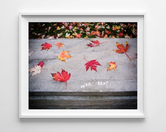 Autumn Decor Fall Leaves - Fall Decor, Nature Photography, Red Home Decor, Toronto Photography - Small and Oversized Art Prints Available